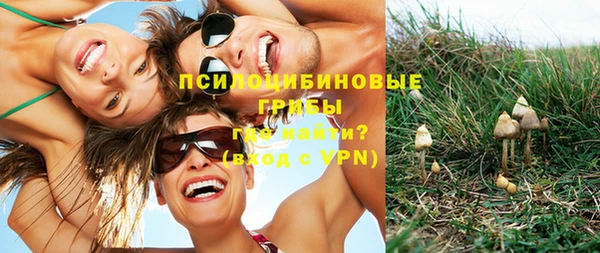 гидра Балабаново