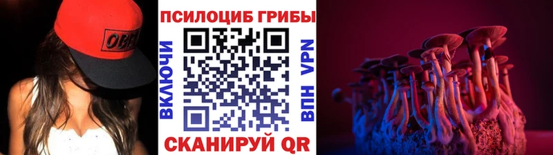 как найти закладки  Великие Луки  Галлюциногенные грибы мухоморы 